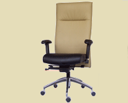 directors leather office chairs in beige colors