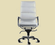 directors office chair in white color leather